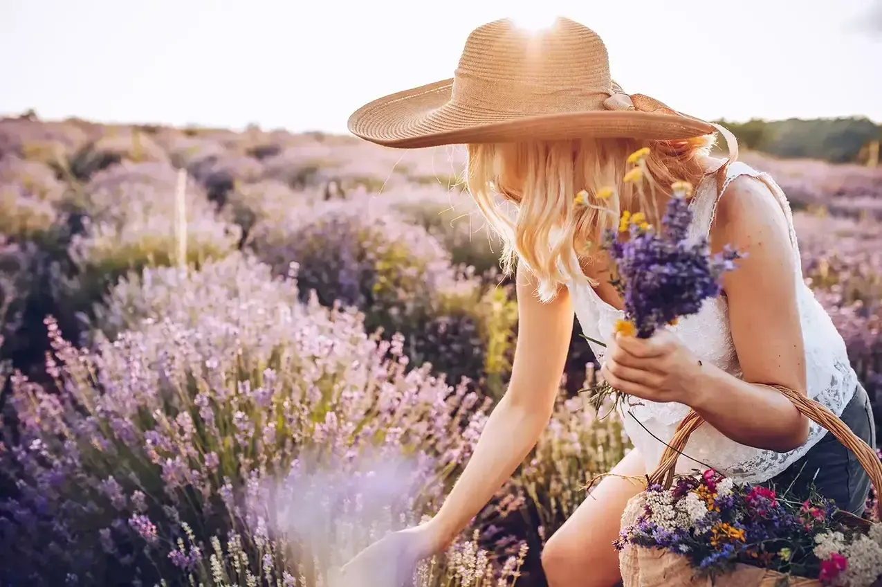All About Fragrances