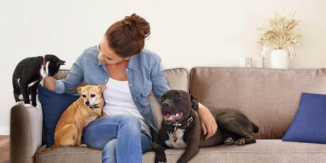 Pet Expert